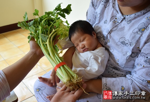 徐寶寶(桃園龍潭區到府嬰兒寶寶滿月剃頭理髮、免費到府嬰兒剃胎毛儀式吉祥話)。到府剃頭剃胎毛主持、專業拍照、DVD光碟、證書。★購買「臍帶章、肚臍章、胎毛筆刷印章」贈送：剃頭、收涎、抓周，三選一。2015.10.24 照片11